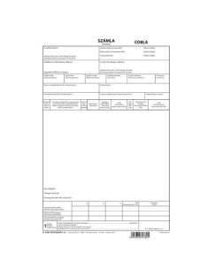 Pátria Nyomtatvány Deviza számla (INVOICE) 5 lapos garn.