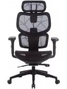 Irodai forgószék, hálós ülőlap és háttámla, fekete műanyag lábkereszt, "Humantech", fekete