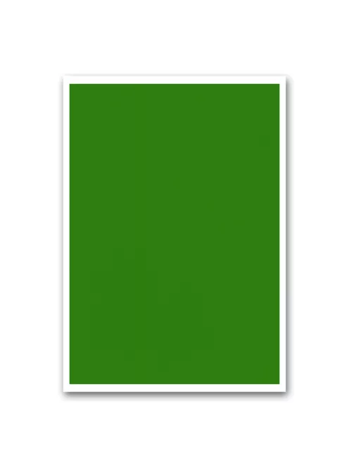 Etikett címke, 210x297mm, 1 címke/lap zöld Bluering®