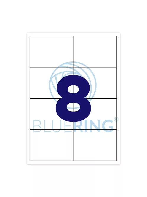 Etikett címke, 105x74mm, 100 lap, 8 címke/lap Bluering®