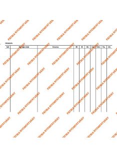 Pátria Nyomtatvány Decursus lap 203x140 mm