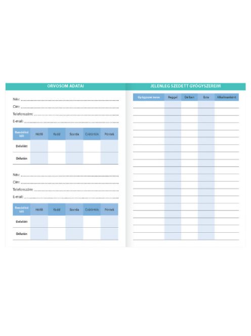 Pátria Nyomtatvány Mérésnapló napi vérnyomás- és vércukorértékek rögzítéséhez 115x160 mm