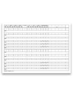   Pátria Nyomtatvány Csecsemő és kisgyermek nyilvántartó 60 lapos könyv A/3 fekvő