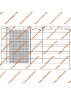 Pátria Nyomtatvány Gyermek lázlap A/3 fekvő