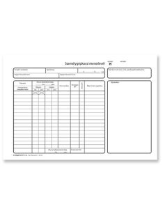   Pátria Nyomtatvány Személygépkocsi menetlevél 100 lapos tömb A/4 fekvő