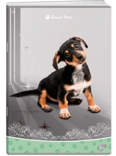   Füzet, állatkölykök "Sweet Pets", A4, 80 g, 40 lapos, vonalas, 6 vegyes képpel