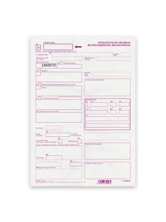   Pátria Nyomtatvány Devizaátutalási megbízás árumellék költség kiegyenlítése K2