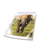 DURABLE Genotherm, lefűzhető, PP, A4, 48 mikron, víztiszta, DURABLE