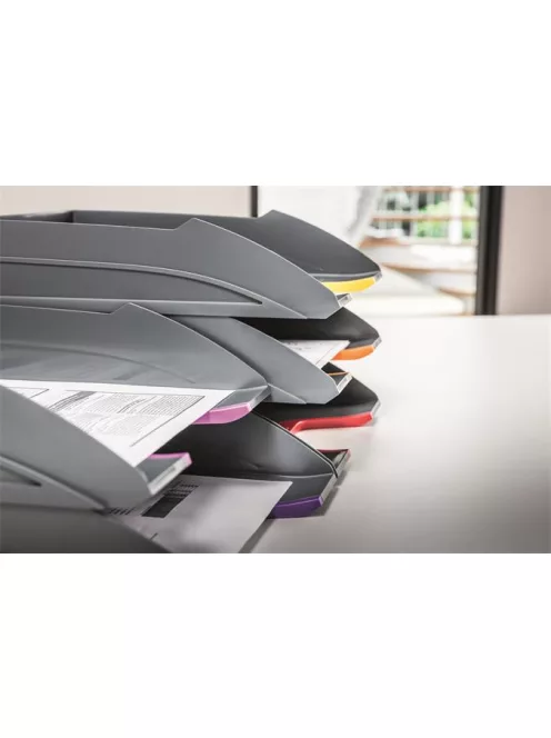 DURABLE Irattálca szett, műanyag, 5 részes, DURABLE "VARICOLOR® 5"