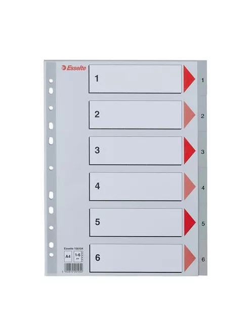 ESSELTE Regiszter, műanyag, A4, 1-6, ESSELTE, szürke