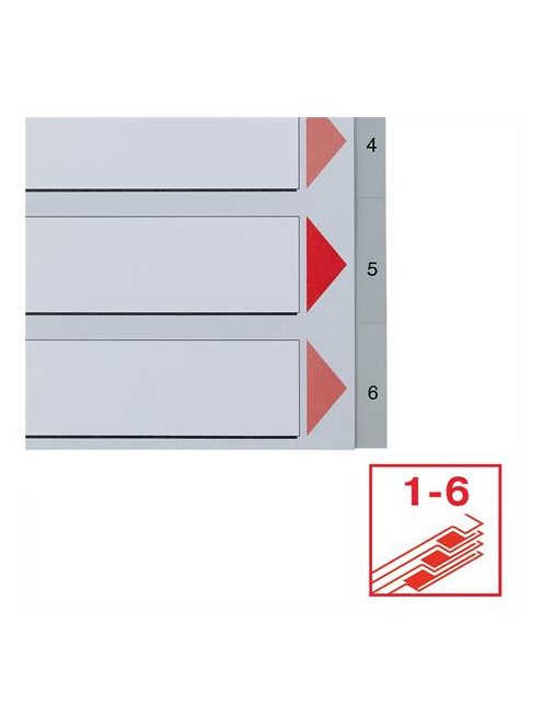 ESSELTE Regiszter, műanyag, A4, 1-6, ESSELTE, szürke