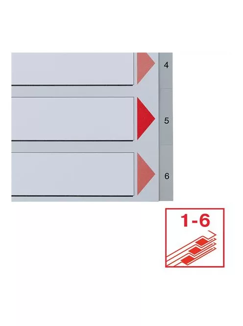 ESSELTE Regiszter, műanyag, A4, 1-6, ESSELTE, szürke