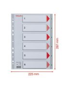 ESSELTE Regiszter, műanyag, A4, 1-6, ESSELTE, szürke