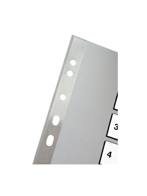 ESSELTE Regiszter, műanyag, A4, 1-10, ESSELTE,szürke