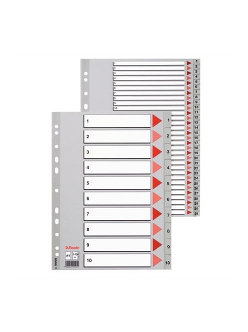 ESSELTE Regiszter, műanyag, A4, 1-10, ESSELTE,szürke