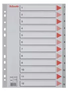 ESSELTE Regiszter, műanyag, A4, 1-12, ESSELTE, szürke