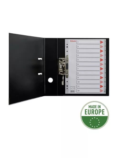 ESSELTE Regiszter, műanyag, A4, 1-12, ESSELTE, szürke