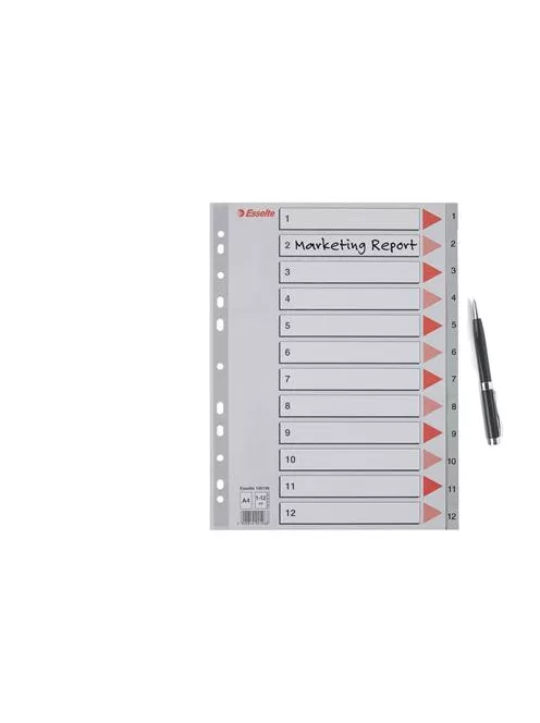 ESSELTE Regiszter, műanyag, A4, 1-12, ESSELTE, szürke