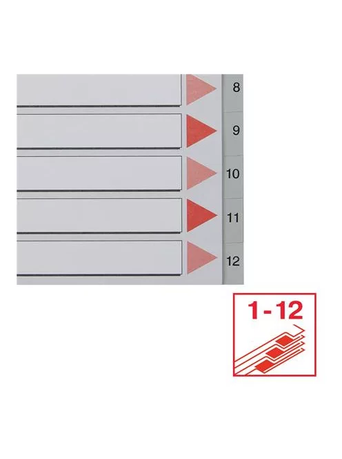 ESSELTE Regiszter, műanyag, A4, 1-12, ESSELTE, szürke