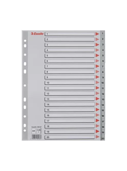 ESSELTE Regiszter, műanyag, A4, 1-20, ESSELTE, szürke