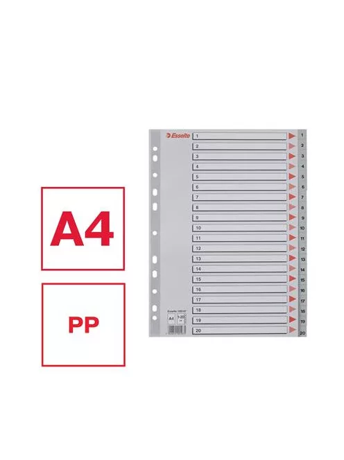 ESSELTE Regiszter, műanyag, A4, 1-20, ESSELTE, szürke
