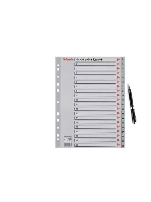 ESSELTE Regiszter, műanyag, A4, 1-20, ESSELTE, szürke