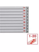 ESSELTE Regiszter, műanyag, A4, 1-20, ESSELTE, szürke