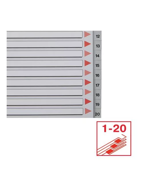ESSELTE Regiszter, műanyag, A4, 1-20, ESSELTE, szürke