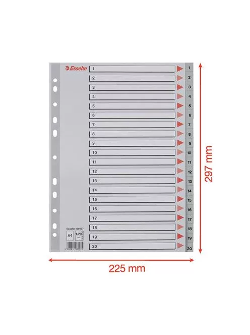 ESSELTE Regiszter, műanyag, A4, 1-20, ESSELTE, szürke