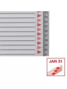 ESSELTE Regiszter, műanyag, A4, 1-31, ESSELTE, szürke