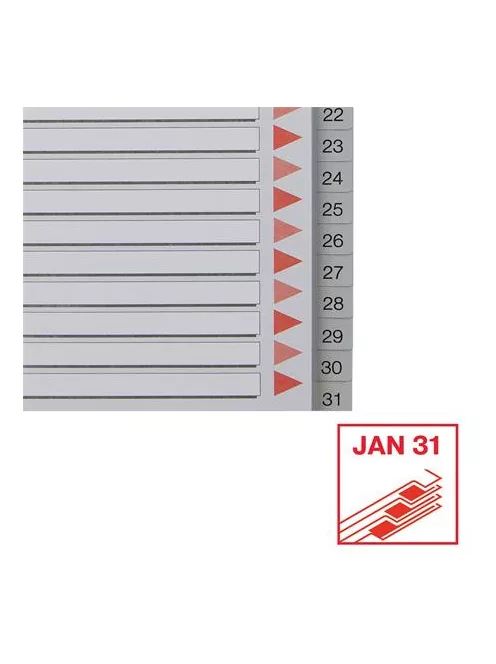 ESSELTE Regiszter, műanyag, A4, 1-31, ESSELTE, szürke