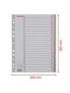 ESSELTE Regiszter, műanyag, A4, 1-31, ESSELTE, szürke