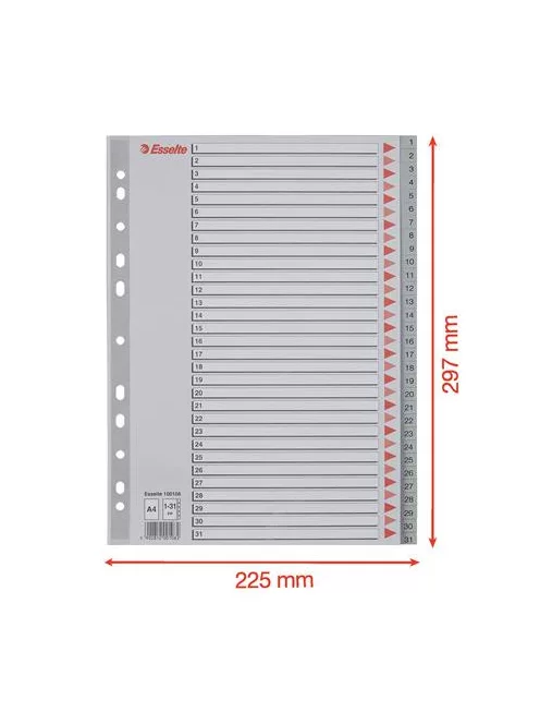 ESSELTE Regiszter, műanyag, A4, 1-31, ESSELTE, szürke