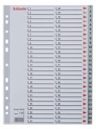 ESSELTE Regiszter, műanyag, A4, 1-54, ESSELTE, szürke