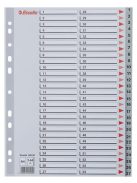 ESSELTE Regiszter, műanyag, A4, 1-54, ESSELTE, szürke