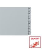 ESSELTE Regiszter, műanyag, A4, 1-54, ESSELTE, szürke