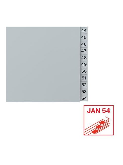 ESSELTE Regiszter, műanyag, A4, 1-54, ESSELTE, szürke