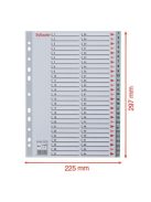 ESSELTE Regiszter, műanyag, A4, 1-54, ESSELTE, szürke