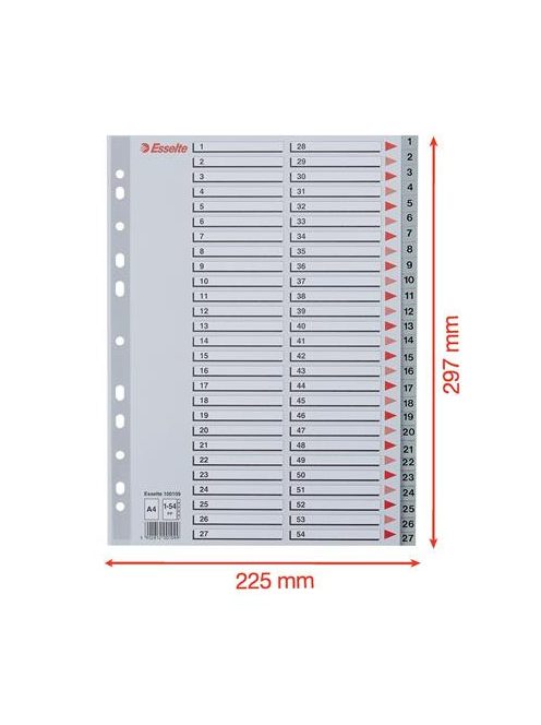 ESSELTE Regiszter, műanyag, A4, 1-54, ESSELTE, szürke