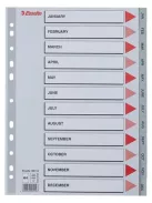ESSELTE Regiszter, műanyag, A4, Jan-Dec, ESSELTE, szürke