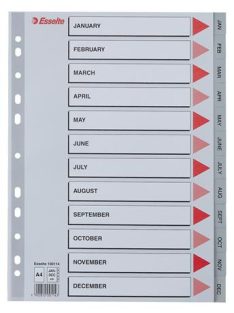 ESSELTE Regiszter, műanyag, A4, Jan-Dec, ESSELTE, szürke