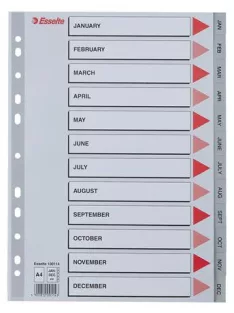ESSELTE Regiszter, műanyag, A4, Jan-Dec, ESSELTE, szürke