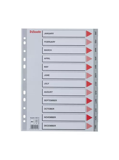 ESSELTE Regiszter, műanyag, A4, Jan-Dec, ESSELTE, szürke