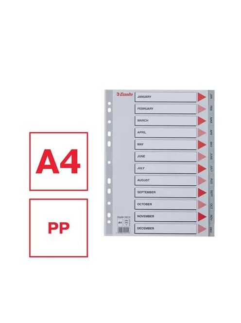 ESSELTE Regiszter, műanyag, A4, Jan-Dec, ESSELTE, szürke
