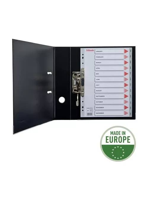 ESSELTE Regiszter, műanyag, A4, Jan-Dec, ESSELTE, szürke