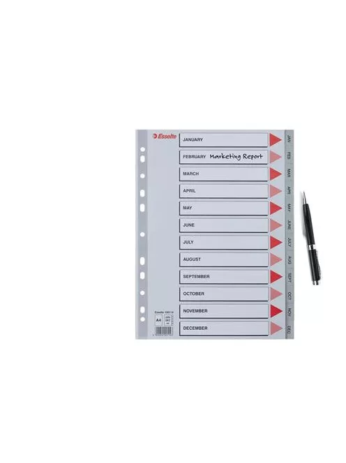 ESSELTE Regiszter, műanyag, A4, Jan-Dec, ESSELTE, szürke