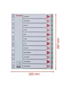 ESSELTE Regiszter, műanyag, A4, Jan-Dec, ESSELTE, szürke