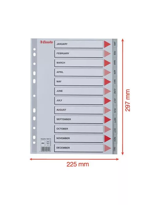 ESSELTE Regiszter, műanyag, A4, Jan-Dec, ESSELTE, szürke