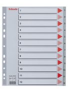 ESSELTE Regiszter, műanyag, A4 Maxi, 1-12, ESSELTE, szürke