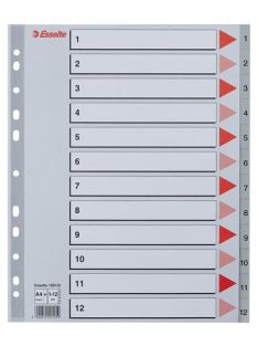 ESSELTE Regiszter, műanyag, A4 Maxi, 1-12, ESSELTE, szürke